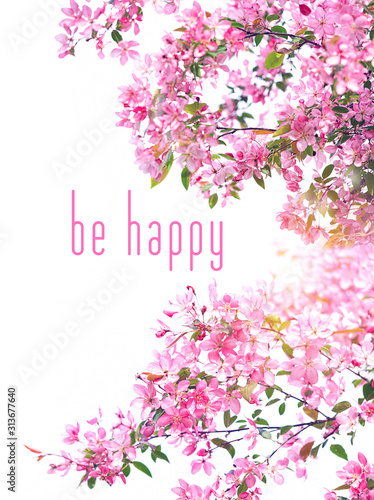 Be happy - motivation quote. Spring Pink flowers isolated on white background. spring flowering season concept.