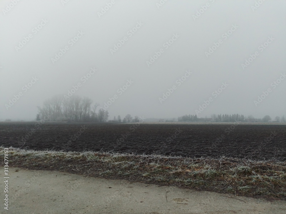 Naklejka premium Fog