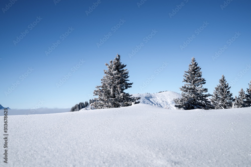 Mount Rigi Mount Rigi