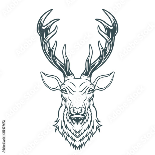 Deer head. 