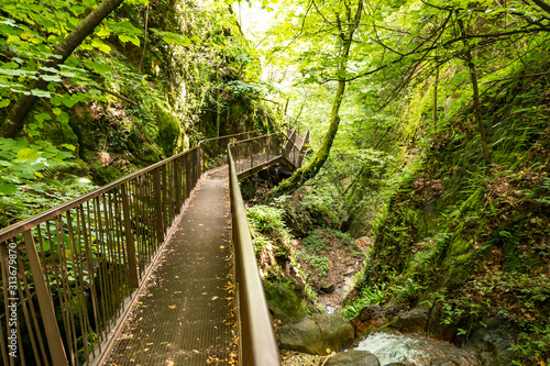 Fotografi long footbridge in a ravine in the wood