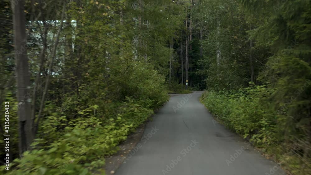 Handheld shot from the car with a view on the road in forest between green trees in summer time along the road. Car moving through a forest road in summer time Handheld shot from the car with a view on the road in forest between green trees in summer time along the road. Car moving through a forest road in summer time