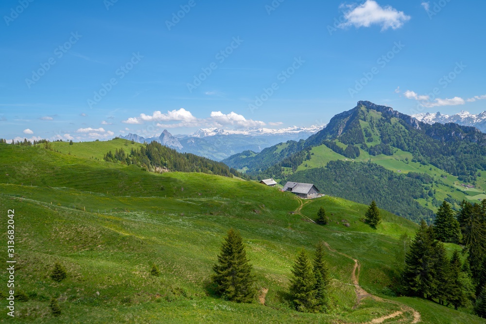 SUISSE-VIEW Photography SUISSE-VIEW Photography