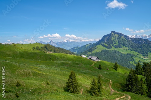 SUISSE-VIEW Photography