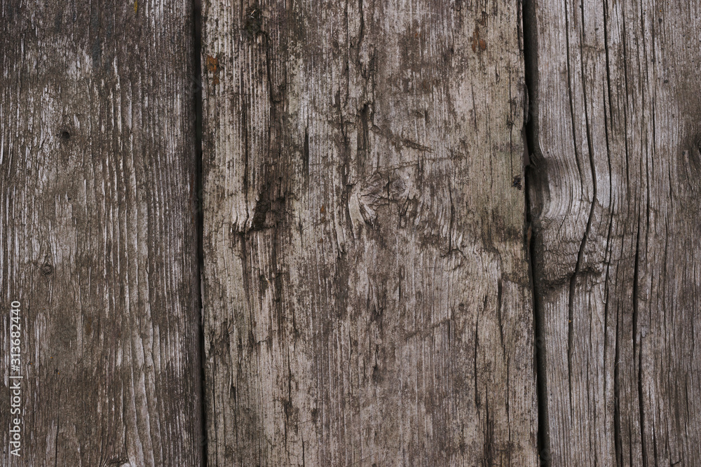Old wooden texured surface closeup. Moss and relief on surface. Stock photo of old wooden pattern of aged boards with moss. Brown and gray colors on photo. Old wooden texured surface closeup. Moss and relief on surface. Stock photo of old wooden pattern of aged boards with moss. Brown and gray colors on photo.