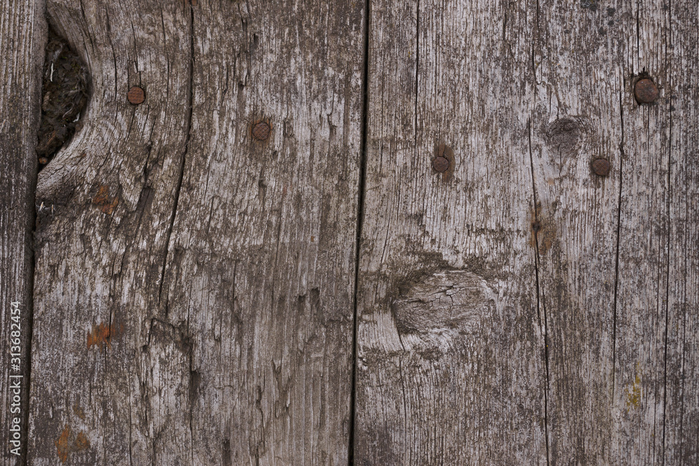 Old wooden texured surface closeup. Moss and relief on surface. Stock photo of old wooden pattern of aged boards with moss. Brown and gray colors on photo. Old wooden texured surface closeup. Moss and relief on surface. Stock photo of old wooden pattern of aged boards with moss. Brown and gray colors on photo.