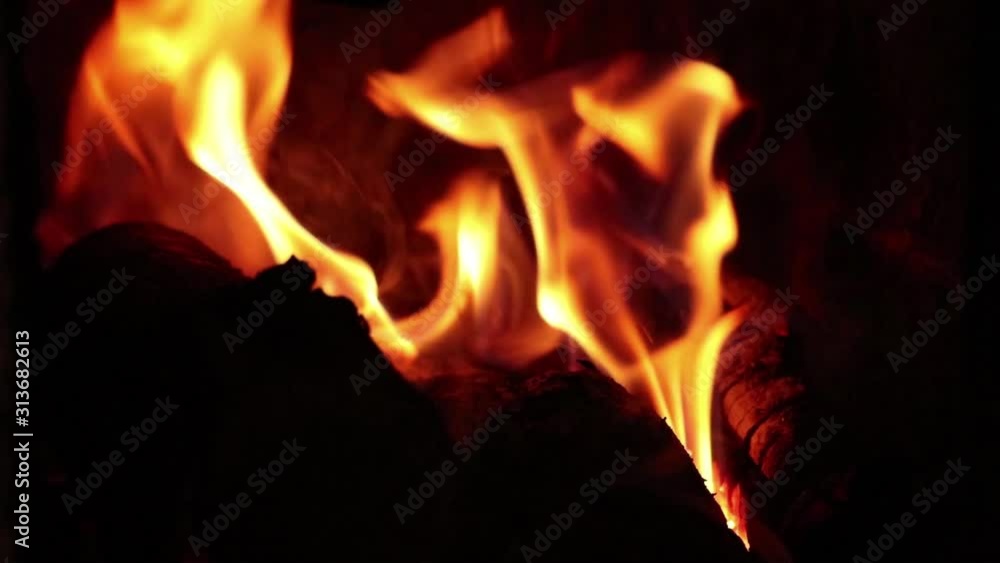 Burning fire in real time. Bonfire. Closeup of flames burning against a black background, Burning fire in real time. Bonfire. Closeup of flames burning against a black background,