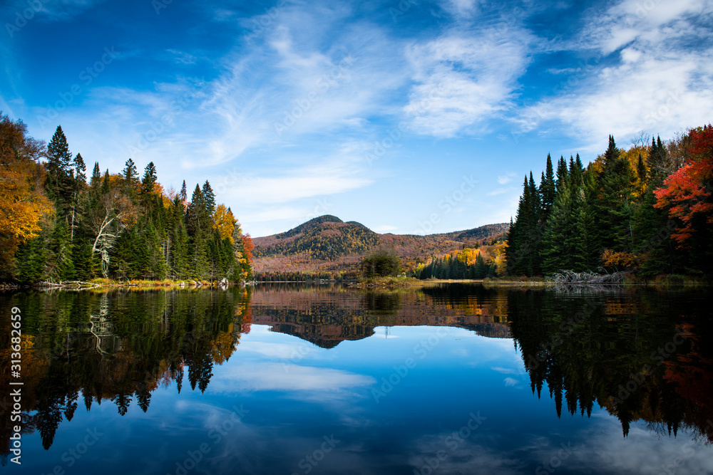 Autumn forest lake reflection landscape