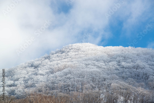 樹氷のついた山々 © yui_yakushiji