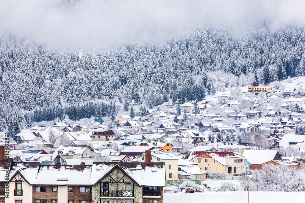 Obraz premium Village in a coniferous forest in the mountains in winter