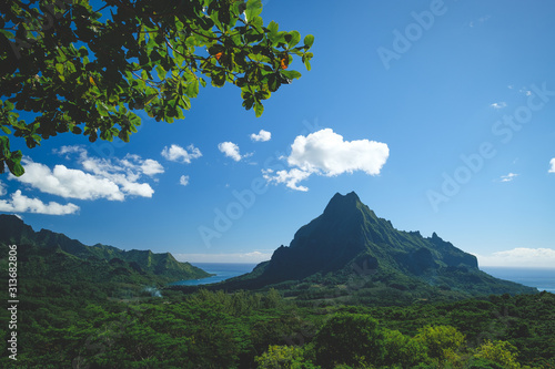 panorama view of mountain in Moorea (Tahiti)