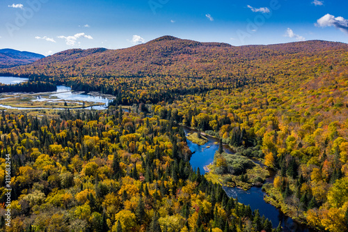 Aerial view of a colorful autumn forest and lake.