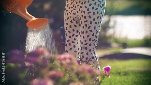 On a bright Sunny day, a girl waters flowers from a watering can. Close up.
