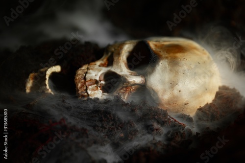 Skull of a dead man in on the ground © Sved Oliver