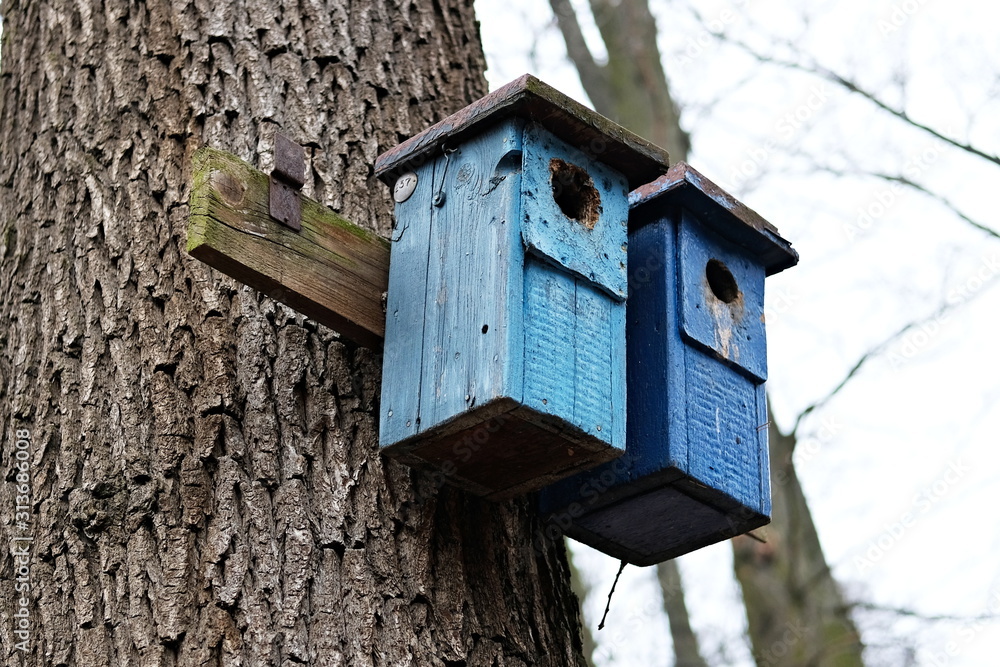 Birdhouse in the forest.