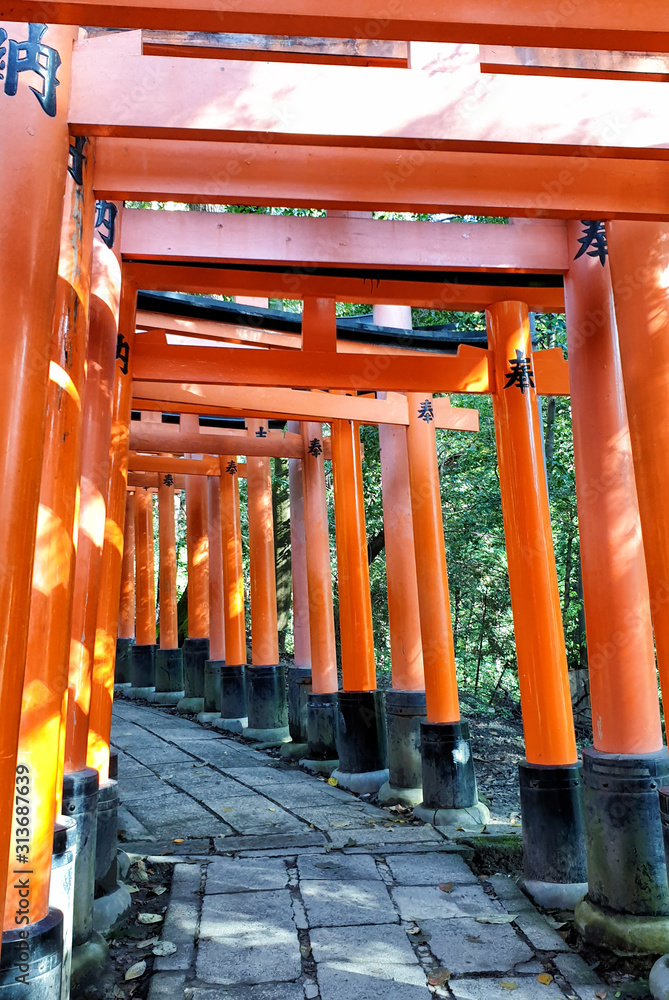 Fushimi Inari Torii at Fushimi-ku, Kyoto, Japan Fushimi Inari Torii at Fushimi-ku, Kyoto, Japan
