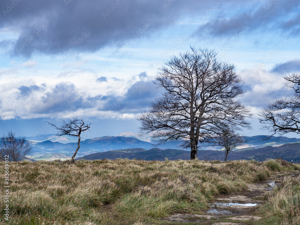 Mountain landscape with bare tree over cloudy sky in Orduña, Basque Country