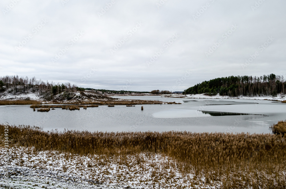 Landscape in a cloudy autumn day with yellow grass by snow, forest and lake.