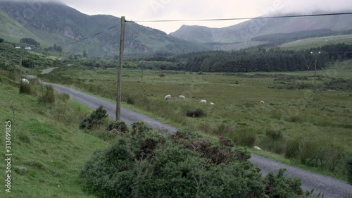 Car cruisin a lonely road on the countryside