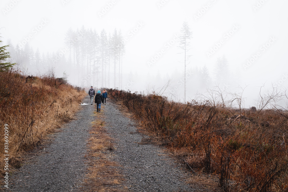 family walking down foggy forest road family walking down foggy forest road
