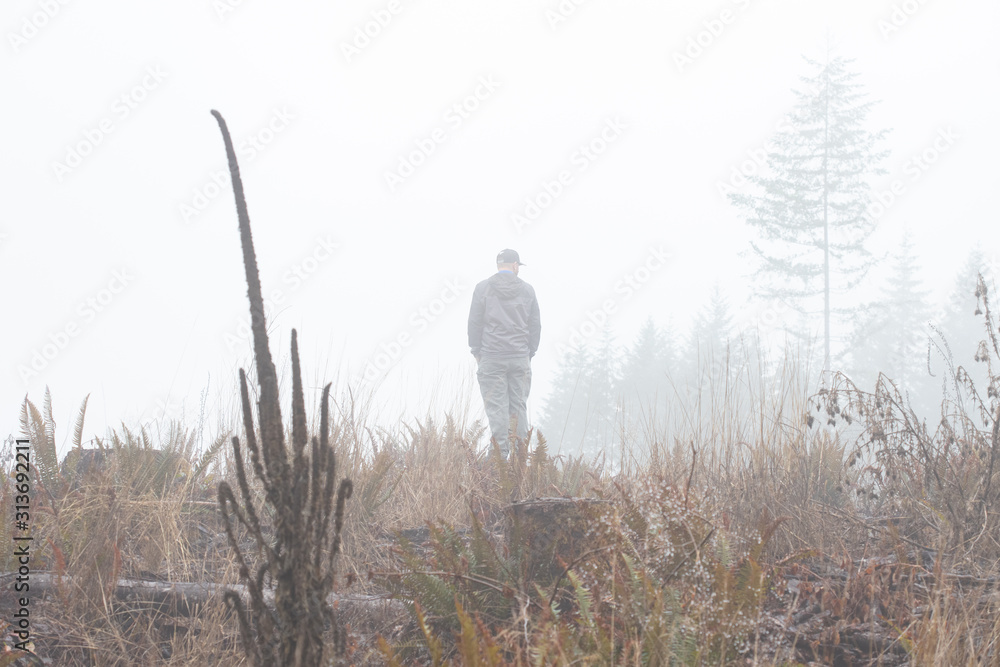 silhouette of man standing in foggy forest silhouette of man standing in foggy forest