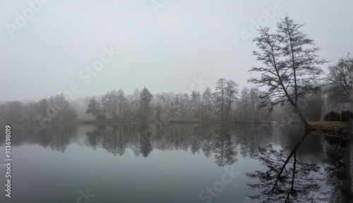 Nebel und Reflektion beim Angelteich am Morgen photo