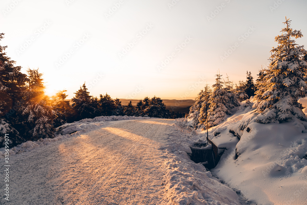 Gegenlicht am frühen Morgen im Winter mit Schnee