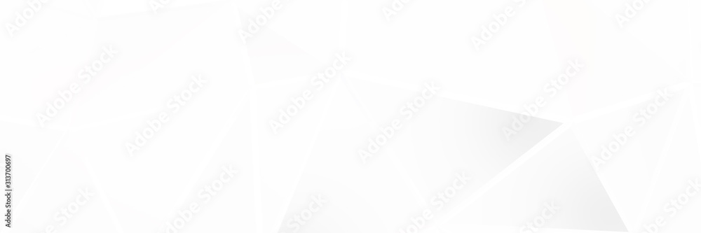 3d ILLUSTRATION, of white abstract crystal background, triangular texture, wide panoramic for wallpaper, 3d black background low poly design 3d ILLUSTRATION, of white abstract crystal background, triangular texture, wide panoramic for wallpaper, 3d black background low poly design