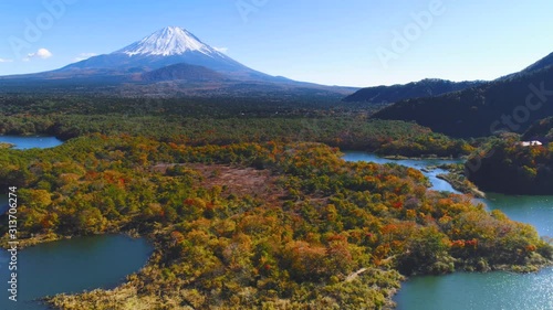 青木が原樹海と富士山空撮