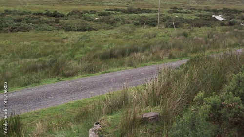 Vintage car crossing in a conuntryside