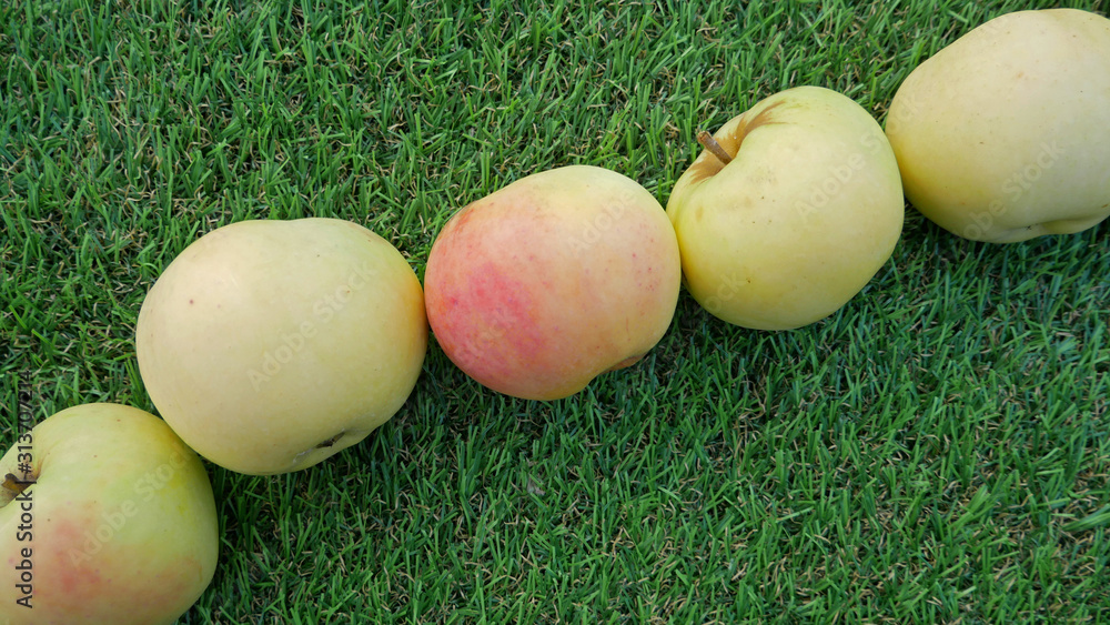 Green apples lie diagonally on bright green grass, top view. Green apples lie diagonally on bright green grass, top view.