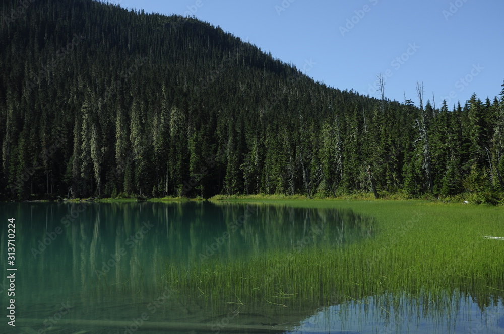 lake in the mountains with forest