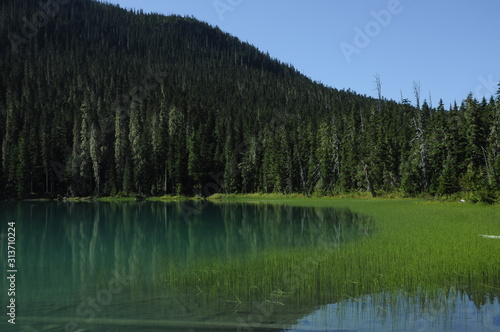 lake in the mountains with forest