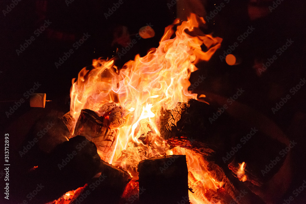 Obraz premium fire in the fireplace