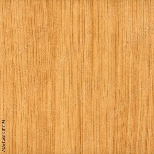 Wood texture background. Close up plywood surface with natural pattern