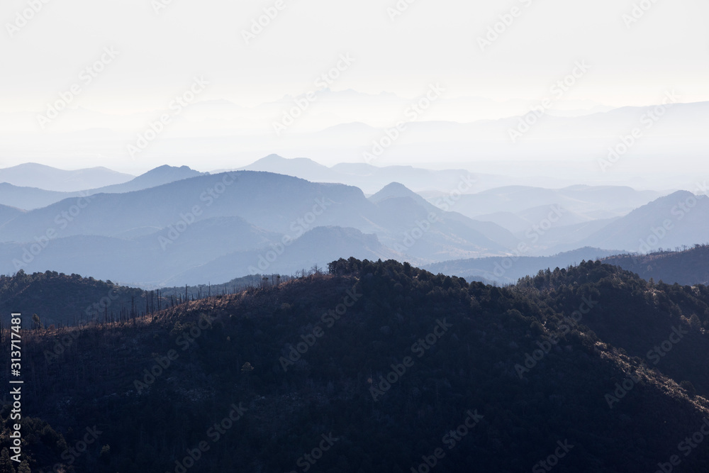 Obraz premium Looking East from Emory Pass (elevation 8800 feet)