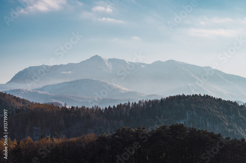 Winter landscape of coniferous forest, pine trees and layers of snowy mountains in the background