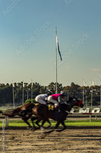 rider on horse race palermo argentina