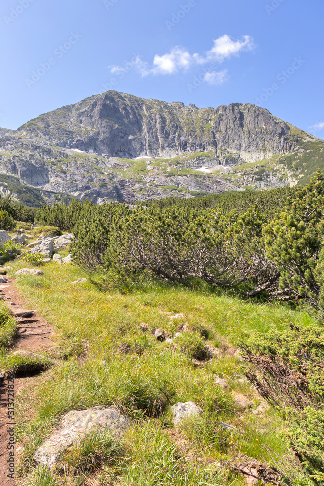 Landscape near The Camel peak, Rila Mountain, Bulgaria Landscape near The Camel peak, Rila Mountain, Bulgaria