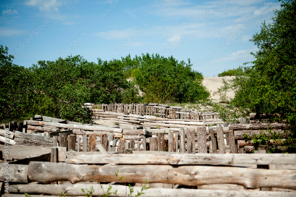 Fototapeta premium wooden fence, protection of sand dunes from the wind on the Curonian Spit. Curonian Spit, Russia