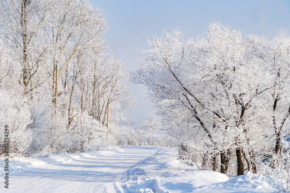 beautiful snowy landscape, silence, snow and hoarfrost, frosty. No people. snowy road, trail beautiful snowy landscape, silence, snow and hoarfrost, frosty. No people. snowy road, trail