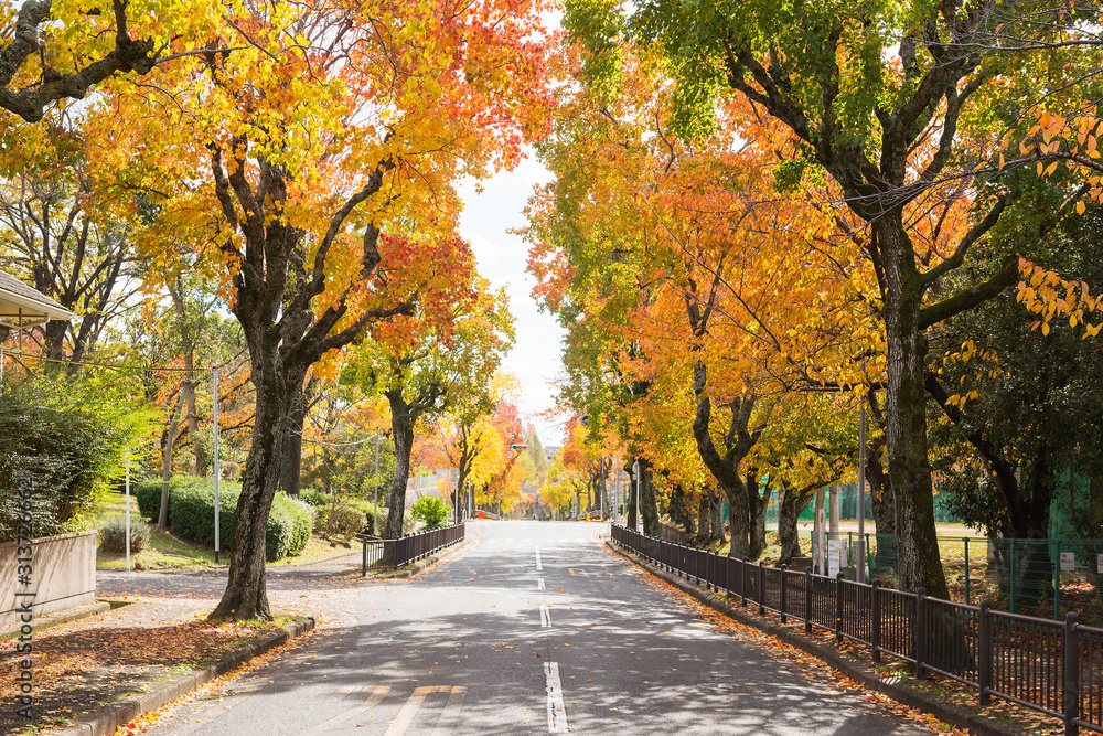 吹田市の秋 吹田市の秋