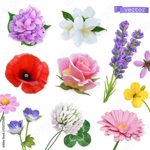 Spring flowers. Lilac, jasmine, poppy, rose, lavender, clover, chamomile. 3d realistic vector icon set