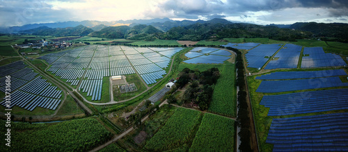 Εκτύπωση καμβά Solar Farm 02