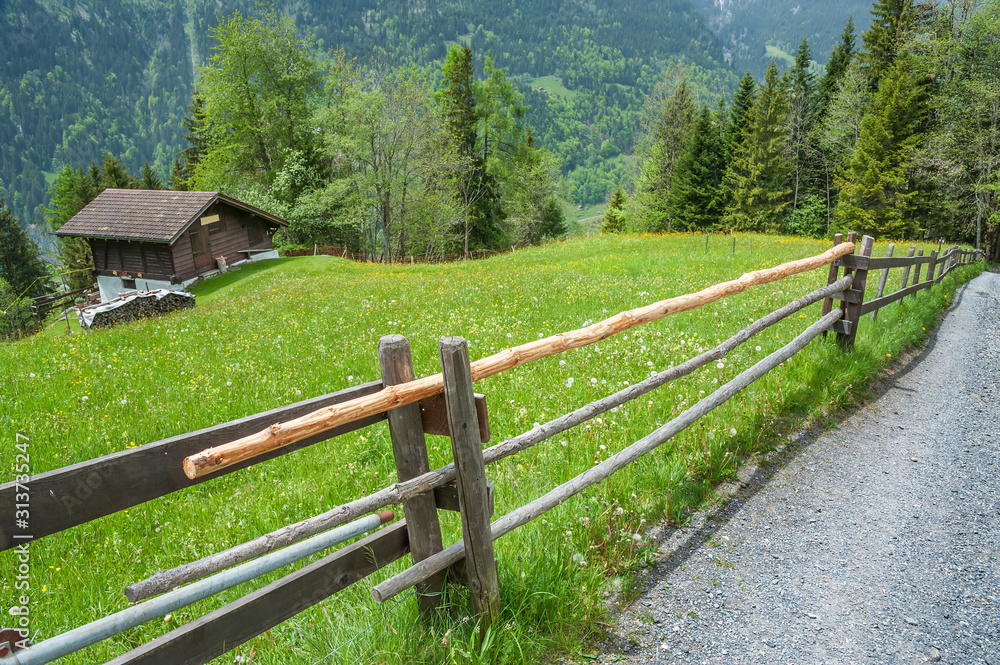 Idyllic landscape of country road in Swiss Idyllic landscape of country road in Swiss