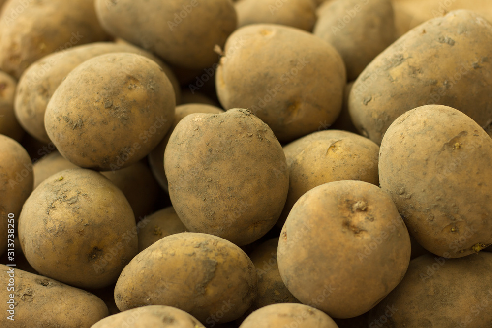 Potato tubers collected in the garden close-up. Potato tubers collected in the garden close-up.