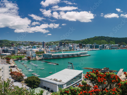 Wellington city, buildings and harbour seen from Mount Victoria with a summer flowering Pohutakawa tree in the foreground. Wellington is the capital of New Zealand.	 photo