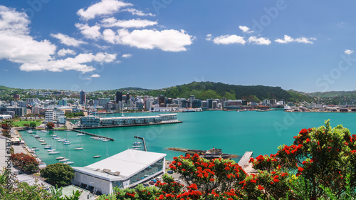 Wellington city, buildings and harbour seen from Mount Victoria with a summer flowering Pohutukawa tree in the foreground. Wellington is the capital of New Zealand.	