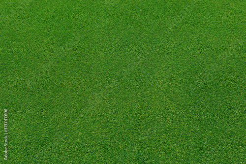  top view of real green grass background photo