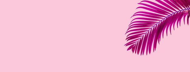 Natural palm leaf on pastel pink background, nature background